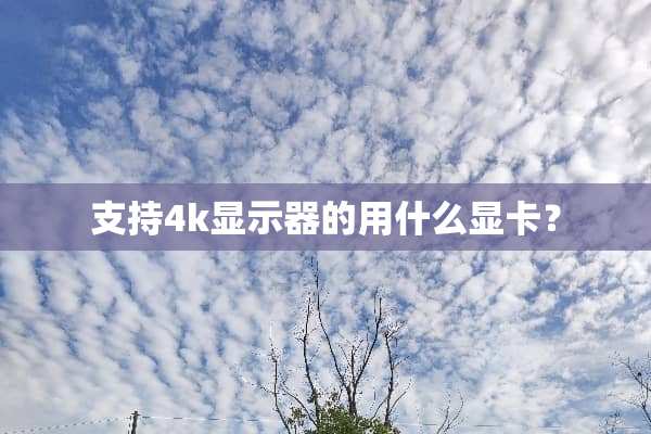 支持4k显示器的用什么显卡？