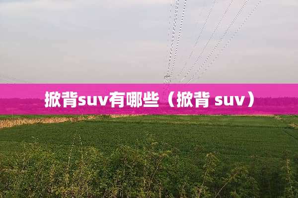 掀背suv有哪些（掀背 suv）