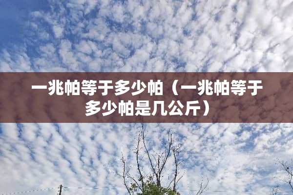 一兆帕等于多少帕（一兆帕等于多少帕是几公斤）