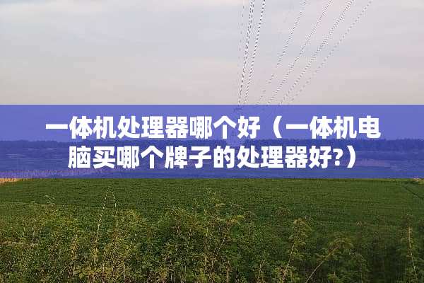 一体机处理器哪个好（一体机电脑买哪个牌子的处理器好?）