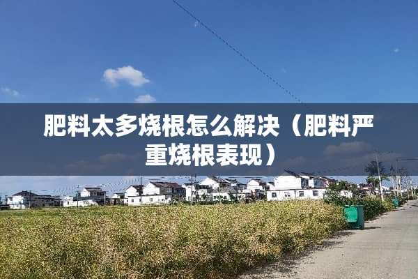 肥料太多烧根怎么解决（肥料严重烧根表现）