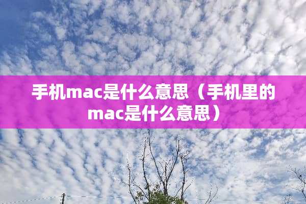 手机mac是什么意思（手机里的mac是什么意思）