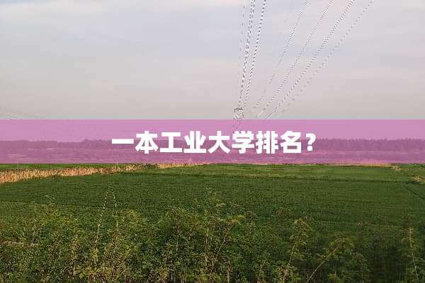 一本工业大学排名？