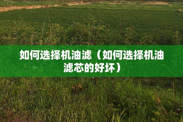 如何选择机油滤（如何选择机油滤芯的好坏）