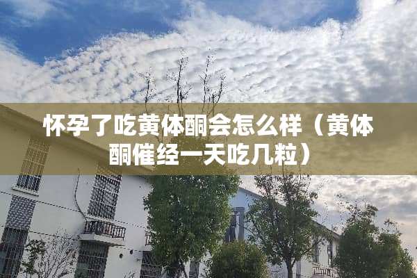 怀孕了吃***会怎么样（***催经一天吃几粒）