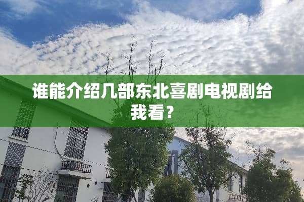 谁能介绍几部东北喜剧电视剧给我看？
