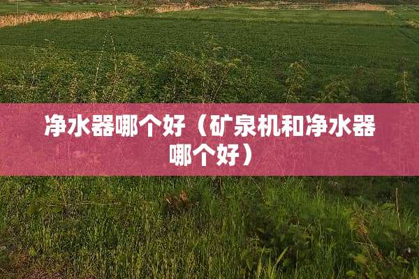 ***哪个好（矿泉机和***哪个好）