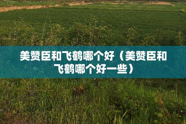 美赞臣和飞鹤哪个好（美赞臣和飞鹤哪个好一些）