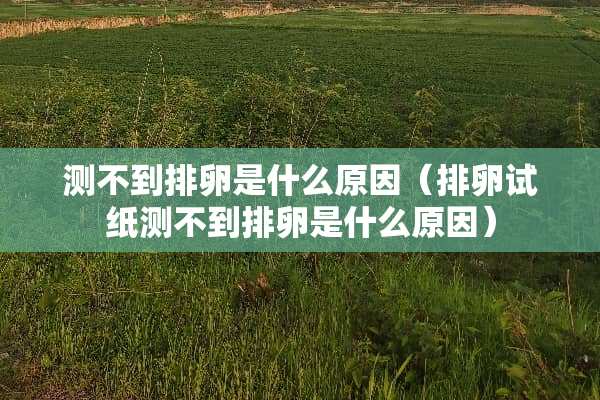测不到排卵是什么原因（排卵试纸测不到排卵是什么原因）