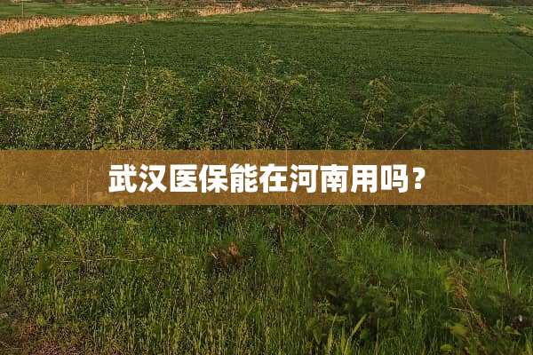 武汉医保能在河南用吗？