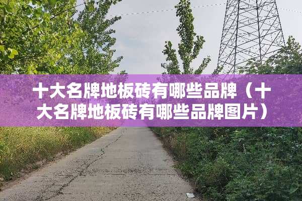 十大名牌地板砖有哪些品牌（十大名牌地板砖有哪些品牌图片）