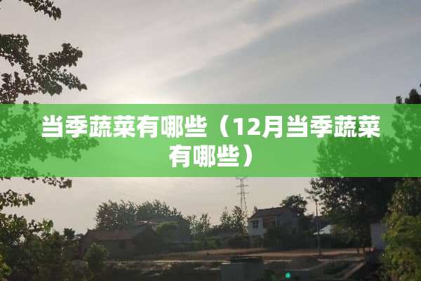 当季蔬菜有哪些（12月当季蔬菜有哪些）