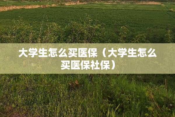 大学生怎么买医保（大学生怎么买医保社保）