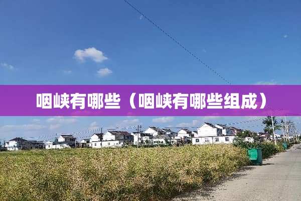 咽峡有哪些（咽峡有哪些组成）