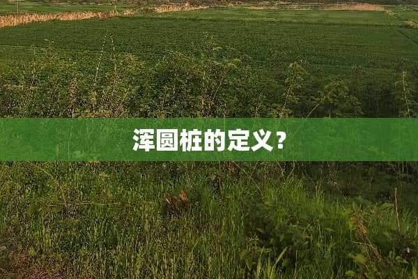 **桩的定义？