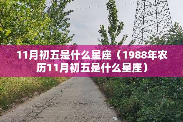 11月初五是什么星座（1988年农历11月初五是什么星座）