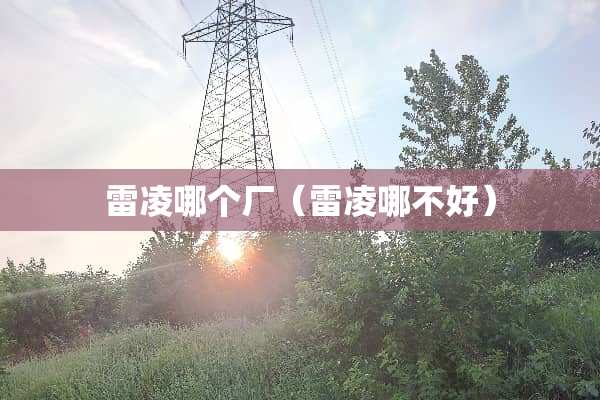 雷凌哪个厂（雷凌哪不好）