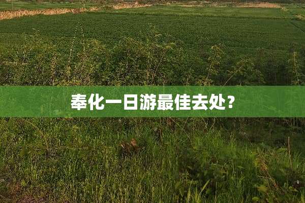 奉化一日游最佳去处？