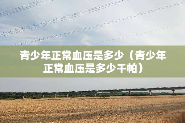 青少年正常血压是多少（青少年正常血压是多少千帕）