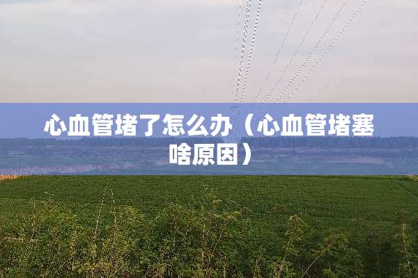 心血管堵了怎么办（心血管堵塞啥原因）