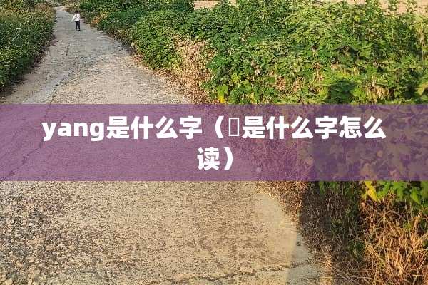 yang是什么字（旸是什么字怎么读）