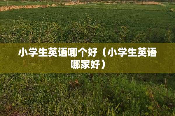 小学生英语哪个好（小学生英语哪家好）