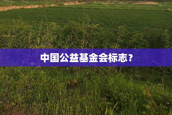 中国公益基金会标志？