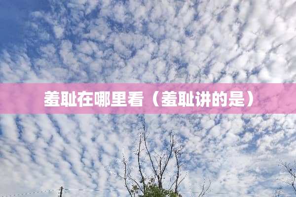 羞耻在哪里看（羞耻讲的是）