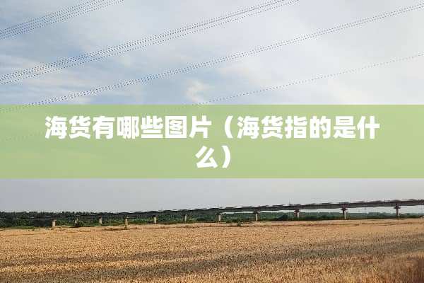 海货有哪些图片（海货指的是什么）
