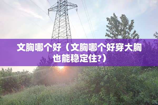 文胸哪个好（文胸哪个好穿大胸也能稳定住?）