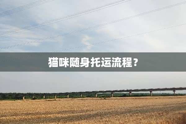 猫咪随身托运流程？