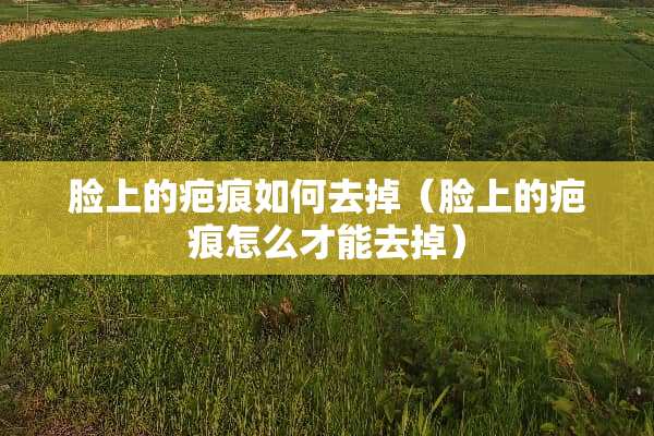 脸上的疤痕如何去掉（脸上的疤痕怎么才能去掉）