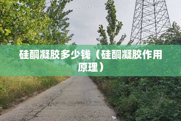 硅酮凝胶多少钱（硅酮凝胶作用原理）