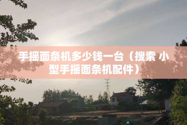 手摇面条机多少钱一台（搜索 小型手摇面条机配件）