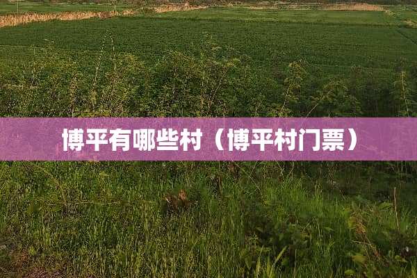 博平有哪些村（博平村门票）