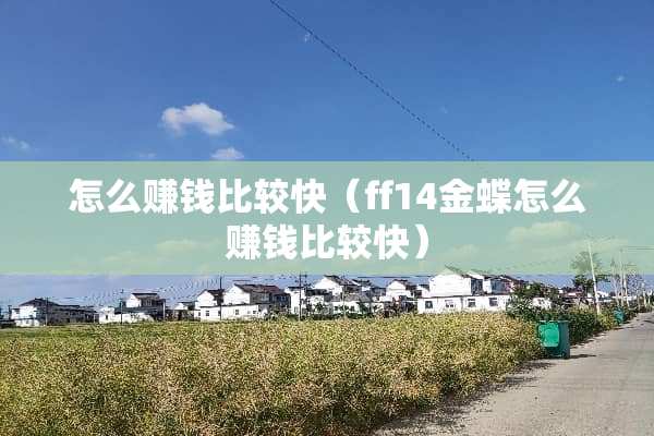 怎么赚钱比较快（ff14金蝶怎么赚钱比较快）