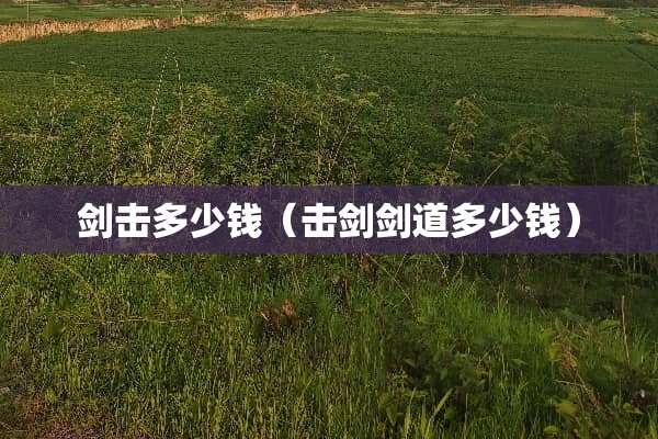 剑击多少钱（击剑剑道多少钱）