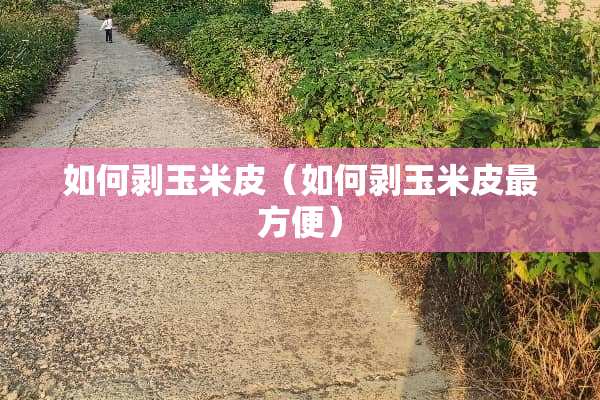 如何剥玉米皮（如何剥玉米皮最方便）