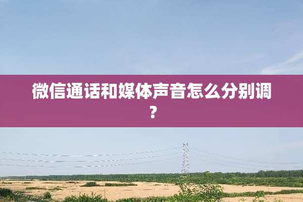 微信通话和媒体声音怎么分别调？