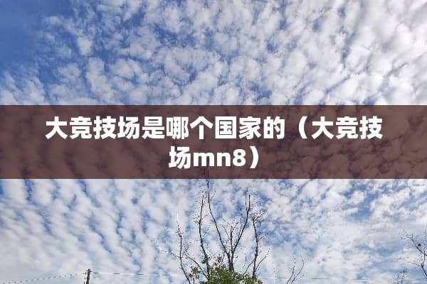 大竞技场是哪个国家的（大竞技场mn8）