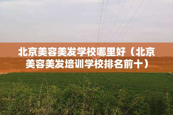 北京美容美发学校哪里好（北京美容美发培训学校排名前十）