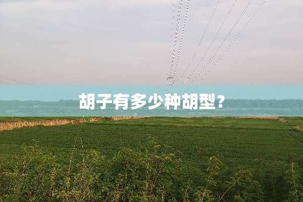 胡子有多少种胡型？