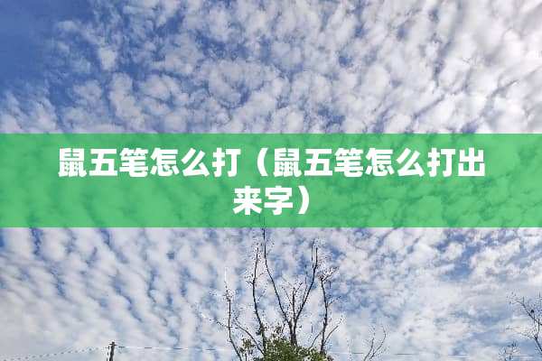 鼠五笔怎么打（鼠五笔怎么打出来字）