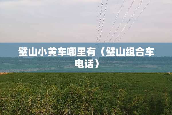 璧山小黄车哪里有（璧山组合车电话）