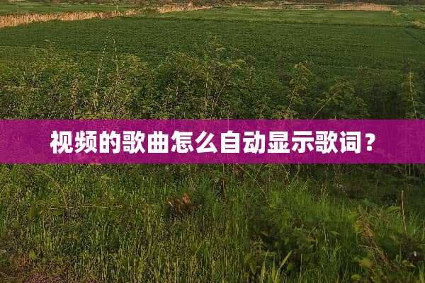 视频的歌曲怎么自动显示歌词？