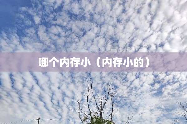 哪个内存小（内存小的）