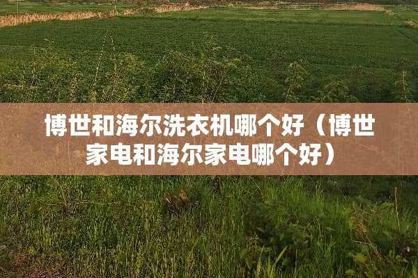博世和海尔洗衣机哪个好（博世家电和海尔家电哪个好）