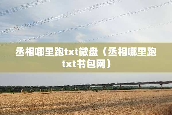 丞相哪里跑txt微盘（丞相哪里跑txt书包网）