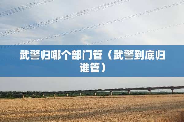 **归哪个部门管（**到底归谁管）