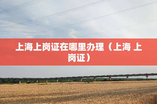 上海上岗证在哪里办理（上海 上岗证）